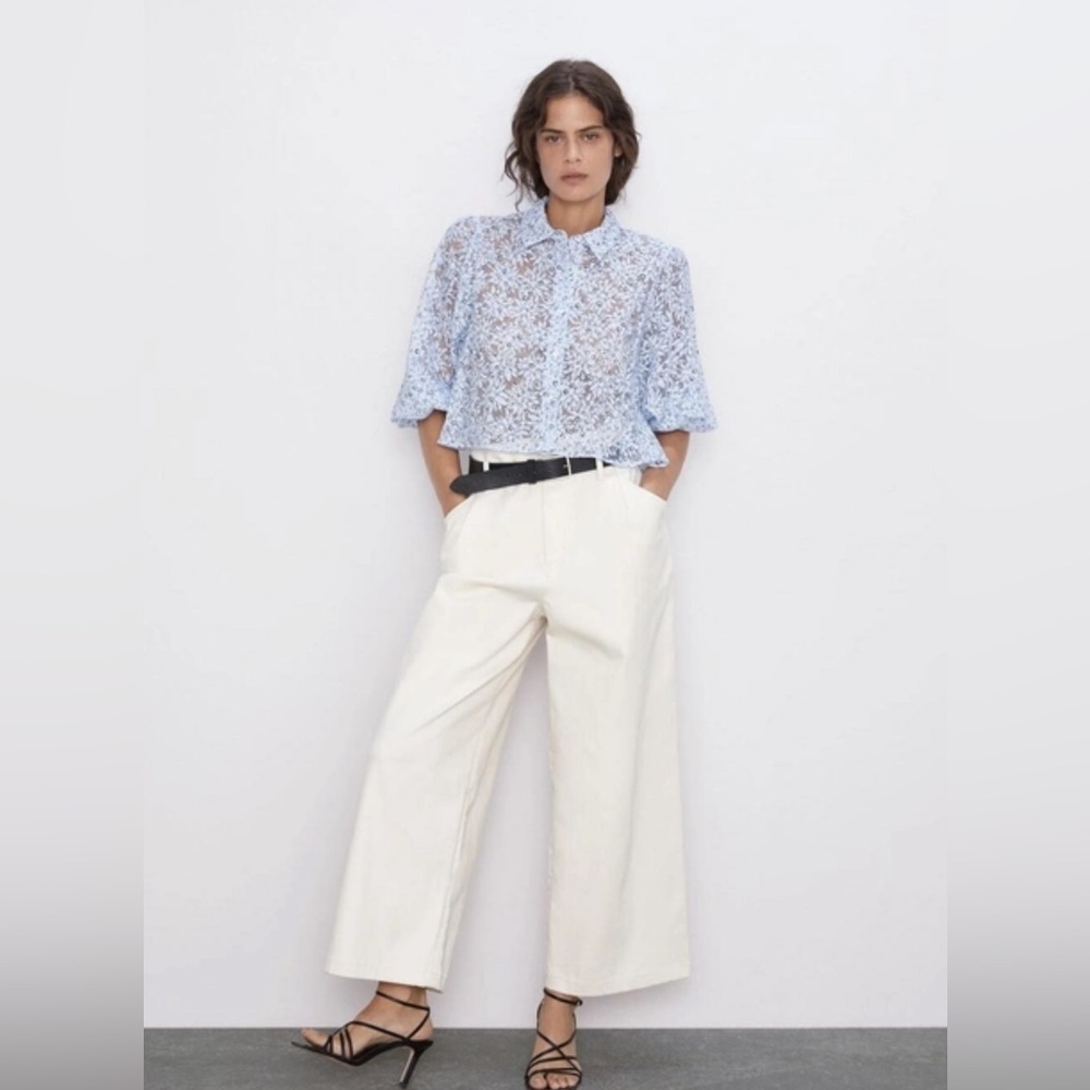 Zara Floral Blue Organza Puff Sleeve Sheer Cropped Blouse Size XS